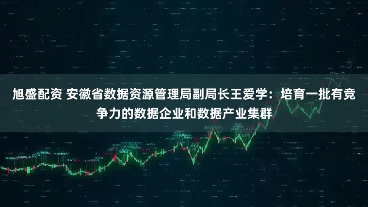 旭盛配资 安徽省数据资源管理局副局长王爱学：培育一批有竞争力的数据企业和数据产业集群
