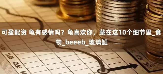 可盈配资 龟有感情吗？龟喜欢你，藏在这10个细节里_食物_beeeb_玻璃缸